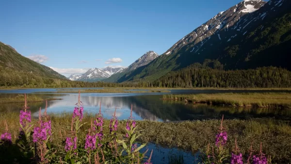 Alaskapox: Confirm First Death