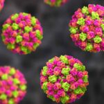 Norovirus