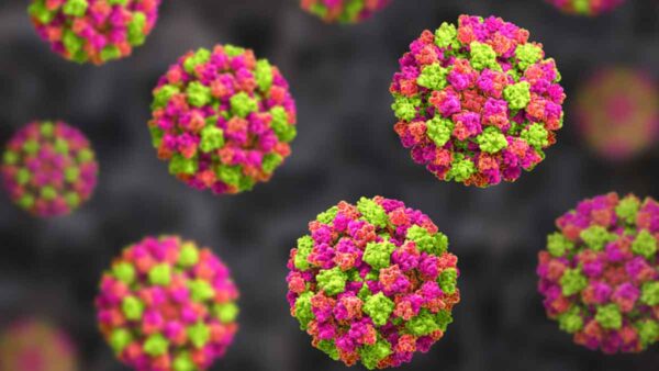 Norovirus