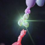 PD-1 Antibody Targeting Immune Checkpoint Inhibition