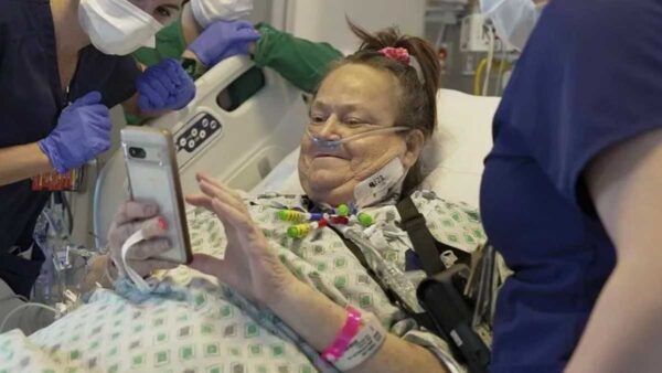 Pig Kidney Transplant