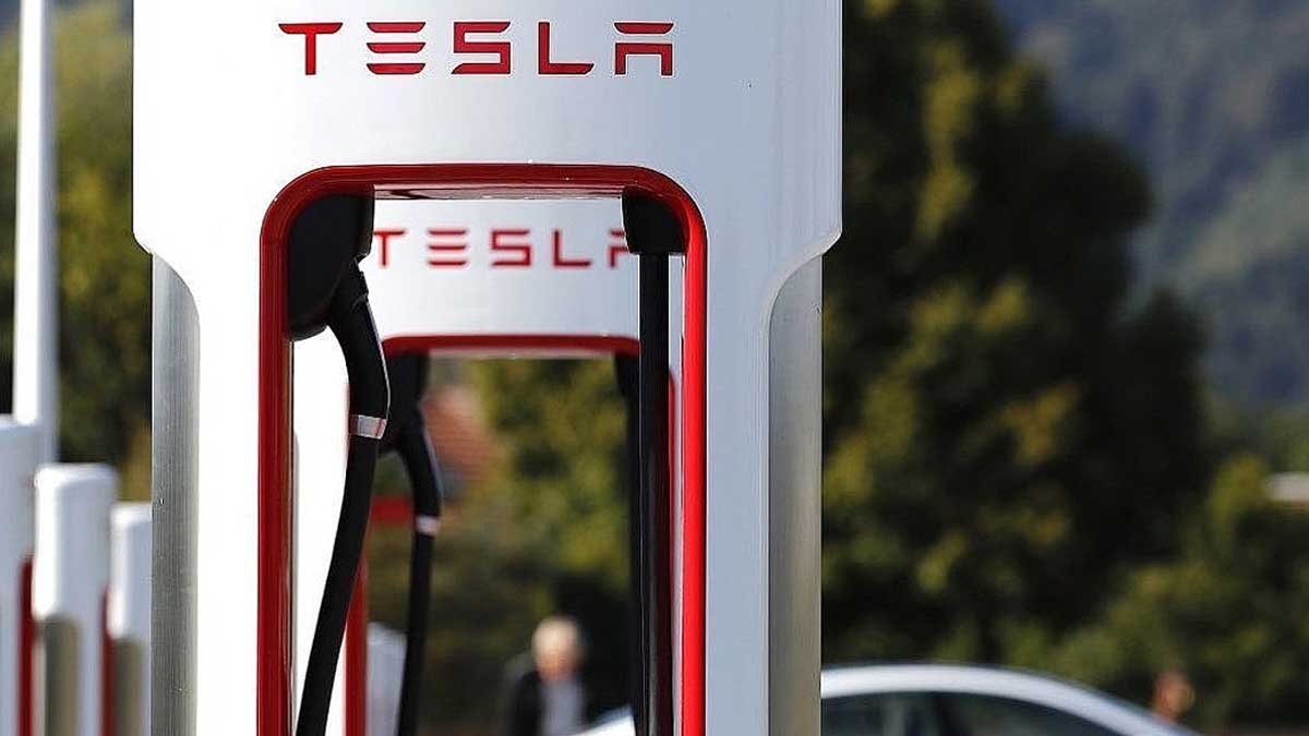 Musk Denies Tesla's Cheap EV Cancellation