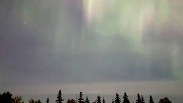 Alaska Aurora