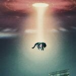 The Manhattan Alien Abduction