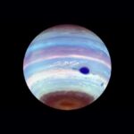 Jupiter's Dark Ovals