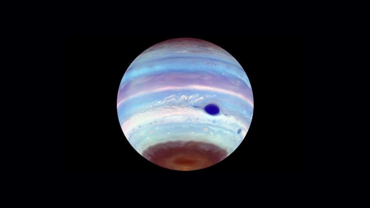 Jupiter's Dark Ovals