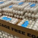 US inflation eggs