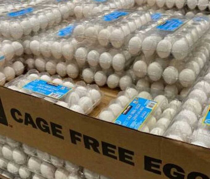 US inflation eggs