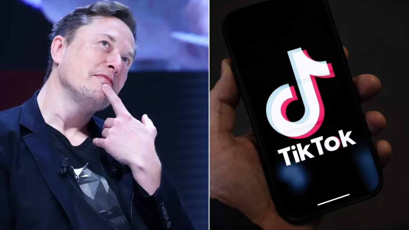 China Explores TikTok US Sale to Elon Musk Amid Looming Ban, But TikTok  Calls it "Pure Fiction" - 193 Countries Consortium & Partners | Local  Investors Summit by Aashin US I Partner