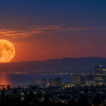 Blue Moon