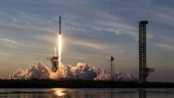 SpaceX stock decline after Cursor acquisition announcement