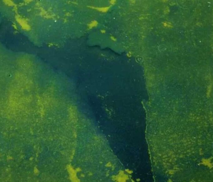 Peeling blue paint in Lincoln Memorial Reflecting Pool
