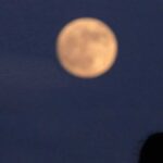 June Strawberry Moon rising at dusk