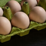 Egg