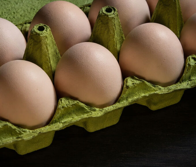 Egg