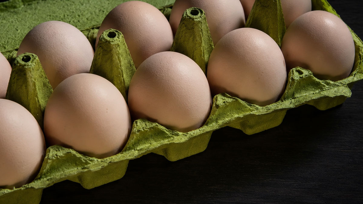 Egg